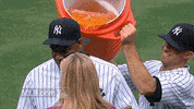 new york yankees GIF by MLB