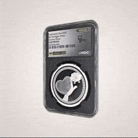 Coin Silver GIF by VeeFriends