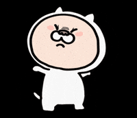 Cat No GIF