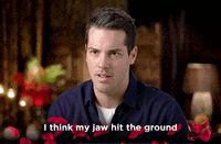 surprise love GIF by The Bachelorette Australia