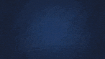 wave hello GIF by West Michigan Whitecaps 