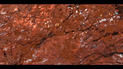 Fall Ysu GIF by Youngstown State University