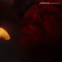 The Leech Christmas GIF by Arrow Video