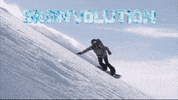 GIF by Carrots