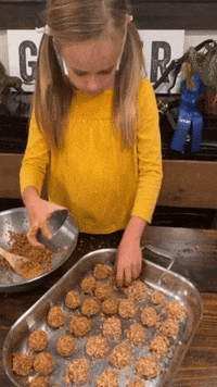 GingerBiscuits  GIF