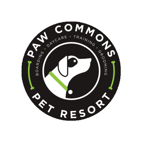 pawcommons giphygifmaker Sticker