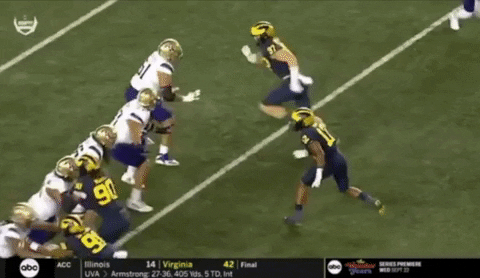 tsco1035 giphyupload GIF