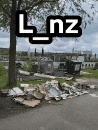 Fridaysforfuture What GIF by Linz News