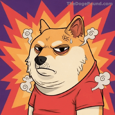 Angry Shiba Inu GIF by Doge Pound