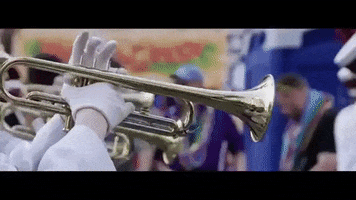 new orleans louisiana GIF