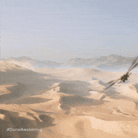 Storm Flying GIF by Funcom