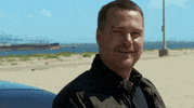 Ncis Los Angeles Hetty Lange GIF by CBS