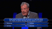 stellifymedia reaction jeremy clarkson wwtbam GIF