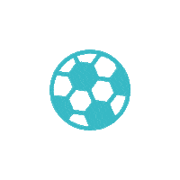 Football Sport Sticker by Stadtwerke Essen