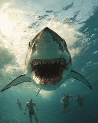 Art Horror GIF
