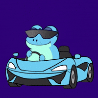 Drive Fast GIF by Croakey