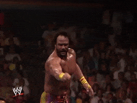 wwe sports wwe wrestling point GIF