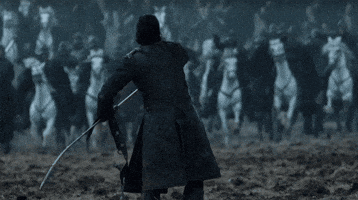 Game Of Thrones GIF by giphydiscovery