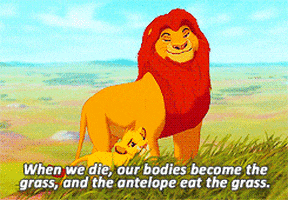 the lion king disney GIF