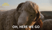 Lamb Shepherd GIF by The Sheep Detectives