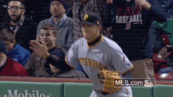 jameson GIF by MLB