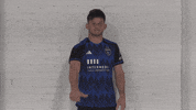 Soccer Futbol GIF by San Jose Earthquakes