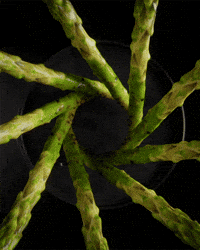 Hungry Dinner GIF by Woodblock