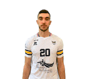 Prvball stop henry prvb Sticker