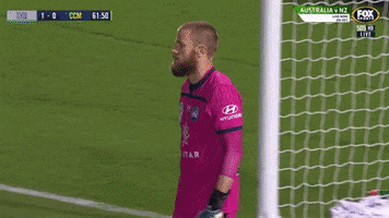 Sydney Fc Football GIF by Hyundai A-League