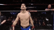 ufc 210 GIF