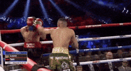 toprank fight boxing fighting espn GIF