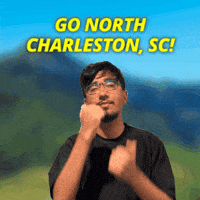 South Carolina Sc GIF