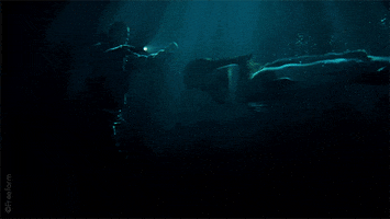 mermaid sinking GIF by Siren