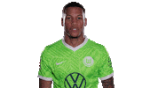 Happy Football Sticker by VfL Wolfsburg