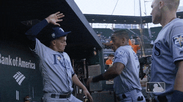 handshake smith GIF by MLB