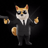Shiba Inu Sunglasses GIF by Doge Pound