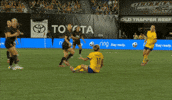 What GIF by National Women's Soccer League