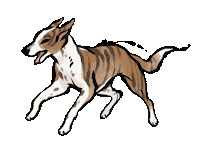 Mixed Breed Cat Sticker