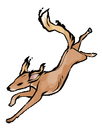 Cat Dog Sticker