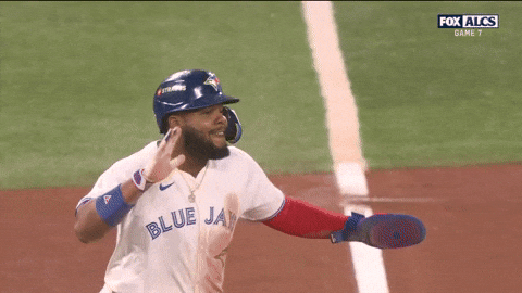 Blue Jays Sport GIF by MLB