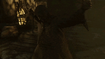 Diablo 2 GIF by Xbox