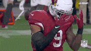 Arizona Cardinals Football GIF by NFL