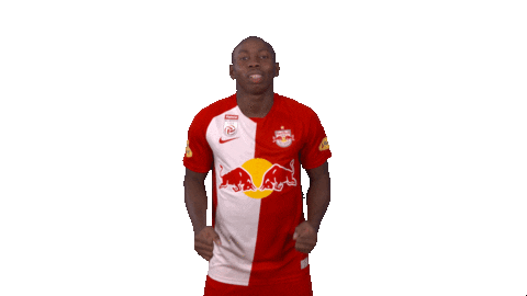 Lets Go Goal Sticker by FC Red Bull Salzburg
