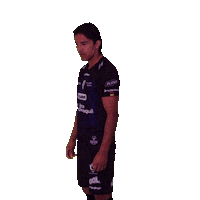 Football Soccer Sticker by INDEPENDIENTE DEL VALLE