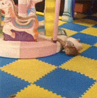Tired Merry Go Round GIF
