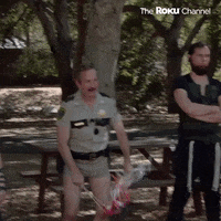 Reno 911 GIF by The Roku Channel