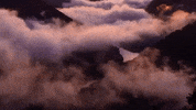 west virginia GIF