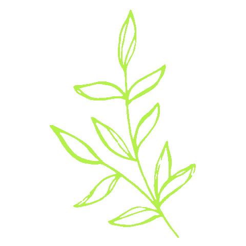 Flower Spring Sticker