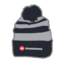 Chicago Uic Sticker by UICWIEP