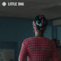 confused dog GIF by CBC